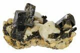 Orthoclase and Aegirine Crystal Cluster - Malawi #117504-2